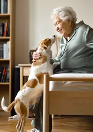 An elderly woman is holding a small dog in her bedroom. AI generated content